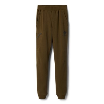 Chlapecké Kalhoty Columbia Branded French Terry Jogger Olivy Zelené HTAPLZ416